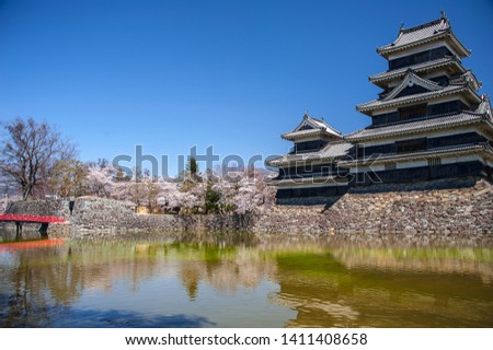 Matsumoto Castle, spring blossoms and clear blue sky background