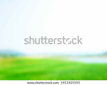 Blurred natural green meadow, Abstract background. Summer and spring concept