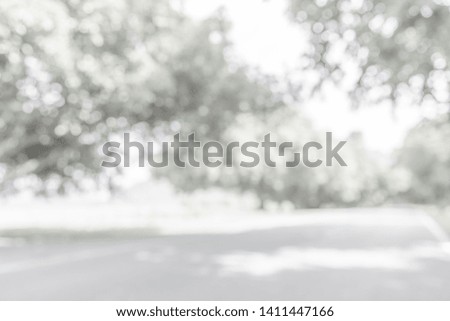 Black and white bokeh background from nature