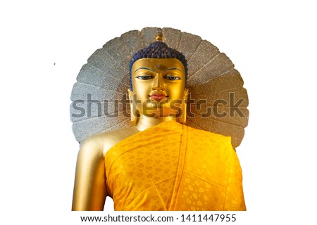 Beautiful Buddha statue at Mahabodhi Stupa Bodh Gaya
