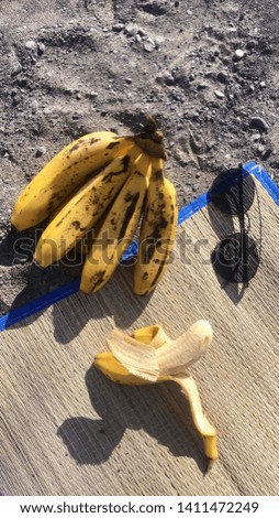 A bunch of litlle Canarian bananas and sunglasses laying in the sand on the beach of the Atlantic ocean
