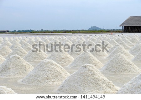 Sea salt piles at sea salt field ready to be picked up and kept in salt barn seeing barn and sky at a far.