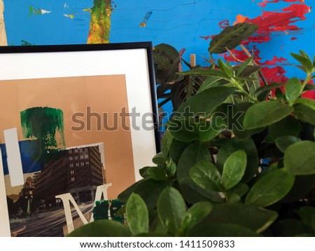 Home flower in a pot close up. Creative environment. Color decor for the interior. Collage. Picture in the photo frame. Large abstract painting on the wall. Interior