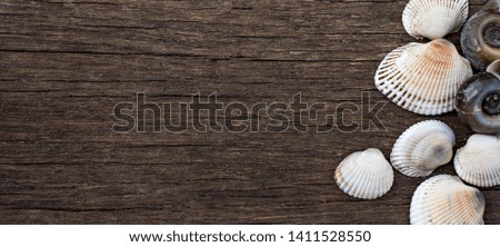 River seashells on a wooden background.