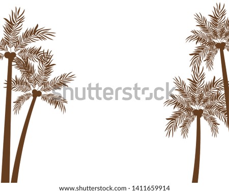 palm tree with coconut in white background