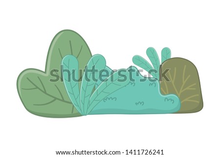 Isolated leaves and nature design