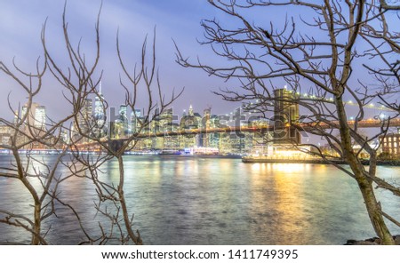 New York City. The Brooklyn Bridge at night, view from Dumbo with bare tree branches on foreground, winter season.