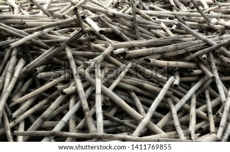 Stack of bamboo. Beautiful abstract background for your text.
