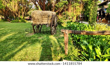 Beautiful hay cart in the farm with green grass and beautiful tree big wheels wooden transportation 