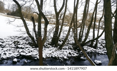 Beautiful white snow and stream in the wood, winter  at Arkengarthdale, North Yorkshire