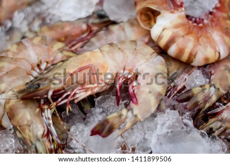 Shrimp in the morning market
