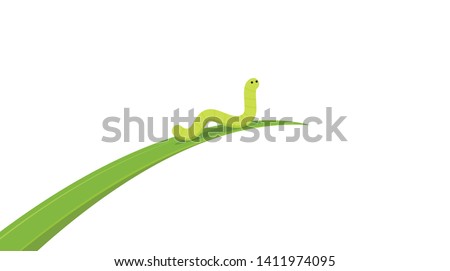 worm on white background. worm insects on the leaf. wallpaper. free space for text. copy space.