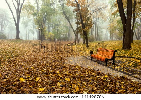 Misty morning in a autumn park. Fallen leaves