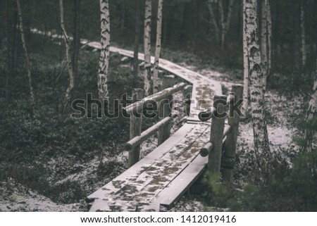 wooden plank footpath boardwalk in swamp area for recreation tourists. bog pine trees and first snow in winter afternoon light - vintage retro film look