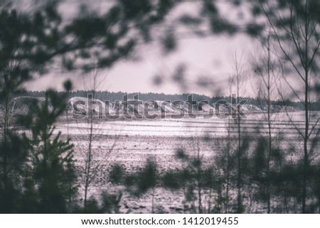 turf fields in swamp area beeing cultivated for harvest. landscape in early winter with first snow, view through the trees - vintage retro film look