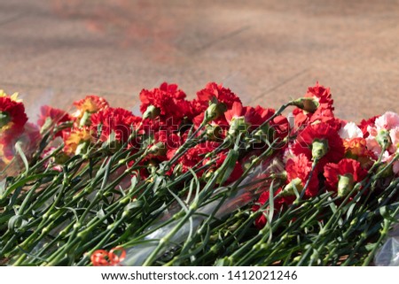 Red carnation flowers are a great bouquet.