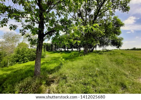 Clean ecology. Green landscape. beauty of nature