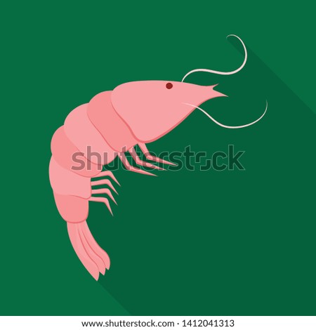 Isolated object of prawn and raw  symbol. Set of prawn and luxury  vector icon for stock.