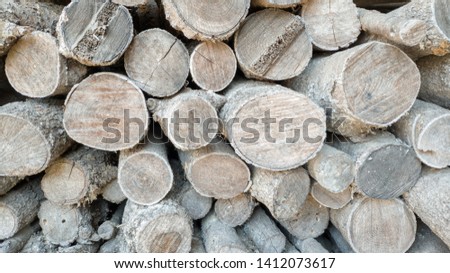 Abstract photo of a pile of natural wooden logs background, top view - Imagen