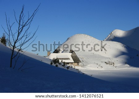 Signs on the snow, Winter, high Tatras