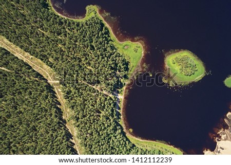 Top view of a lonely island overgrown with forest in the river. Aerial photography of a beautiful landscape in the summer on a sunny day
