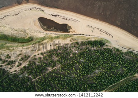 Top view of the sandy seashore and green pine forests. Aerial photography landscape in summer