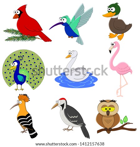 Set of cartoon funny birds.  Birds collection.  Duck, hummingbird, flamingo, cardinal, peacock, owl, woodpecker, hoopoe, swan. Preschool education. 