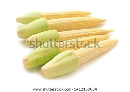 Baby corn on white background - isolated