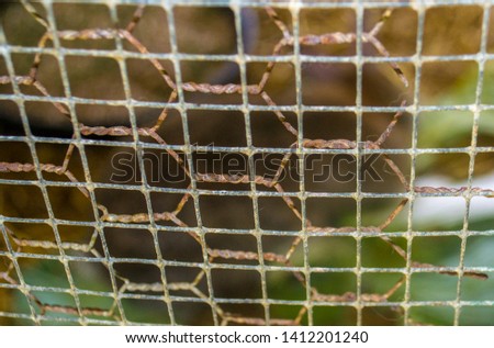 An old Barbed wire texture