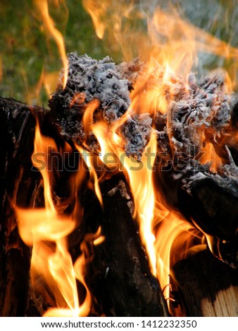 The campfire's flaming tongue at summer night