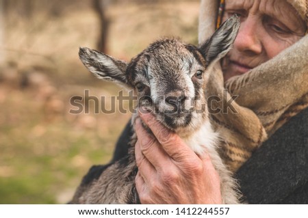 Happy grandmother holding a goat in her arms