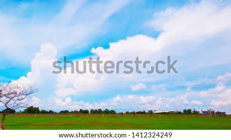Blue sky and cloud with meadow tree in the summer 