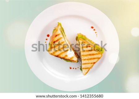 Sliced sandwich on white plate, top view