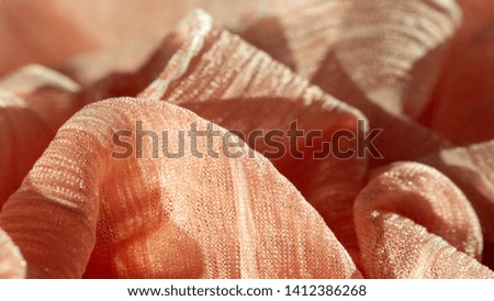 texture, background, pattern, collection, wrinkled silk fabric champagne (pale fawn). 3D pleated, wrinkled and crinkled light camel color pure silk fabric