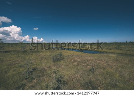 empty swamp landscape with water ponds and small pine trees in bright day with blue sky and some clouds - vintage old film look