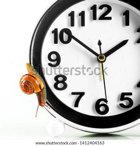 Time lapse concept - snail and clock on white background
