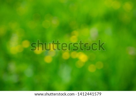
Defocused image of meadow grass with yellow flowers