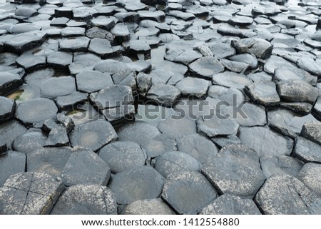 A closeup of greenish grey wet pentagon regular rock formations of Giant's Causeway with puddles in Ireland