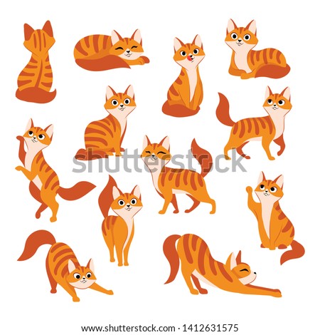 Red cute cat in different poses. Vector cartoon flat illustration. Funny playful kitty isolated on white background.