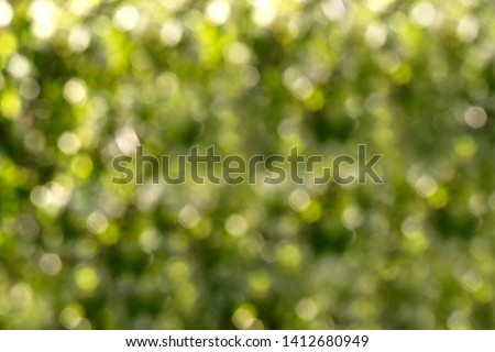 The concept of green blurred natural background. Abstraction. Green background. The concept of text on the background for banners, greeting cards.