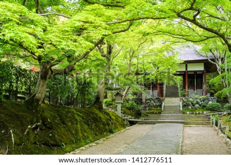 A beautiful Japanese style garden
