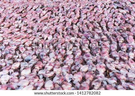 
Fresh squid caught in large quantities And cannot sell immediately Villagers therefore processed into dried squid. To preserve food And can add value to squid