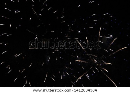 The Celebration colored firework flashing in the black night sky background
