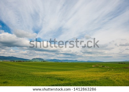 green meadow under blue sky in countryside in summer