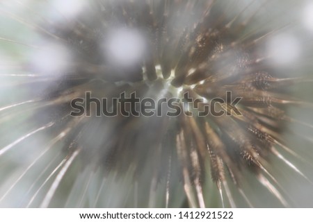 Abstract background with flower seeds