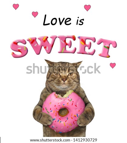 The cat is eating a big pink donut. Love is sweet. White background. Isolated.