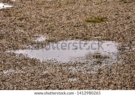 Photo Picture Puddle of water and raindrops
