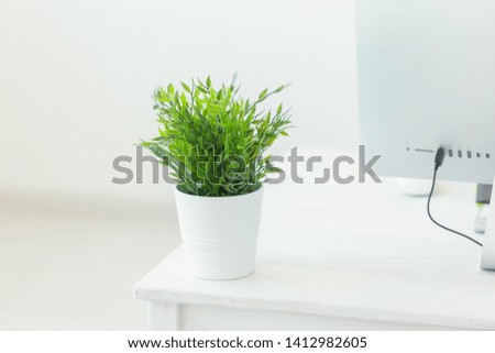 Designer workspace with green plant and computer. Minimalistic home office.