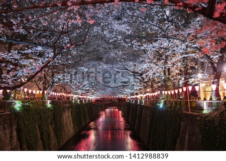 TOKYO, JAPAN - MARCH 29, 2019: Cherry blossom festival at Meguro river. Meguro river. is a popular spot during spring season. Royalty-Free Stock Photo #1412988839