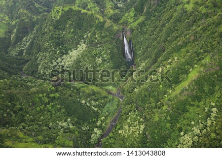 Landscape of Jungle green in Kauai from Helicopter